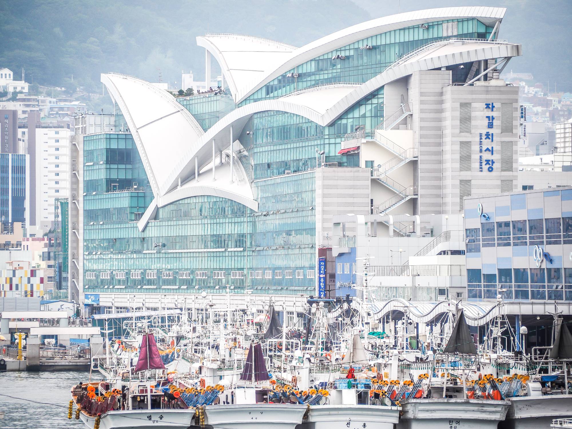 Jagalchi Fish Market, one of Busan’s most popular sights, the way I saw it while walking across Yeongdo Bridge to reach the hotel every day. (Busan traditional market)