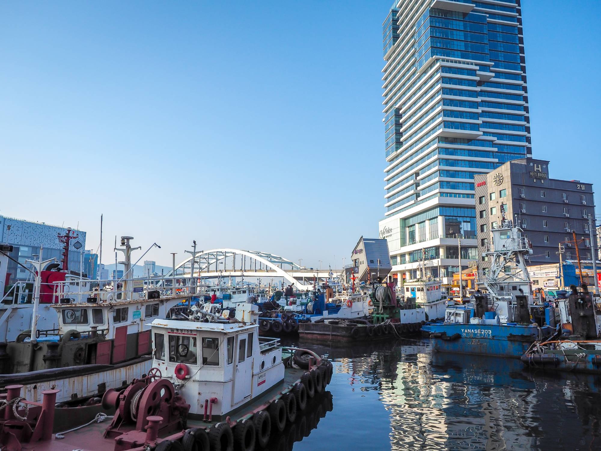 Harbor right beside the hotel. busan hotel ocean view