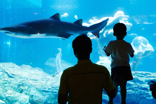 釜山水族館折扣優惠
